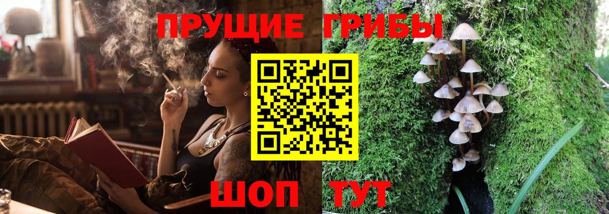 Галлюциногенные грибы GOLDEN TEACHER  Вход с VPN  Кольчугино 