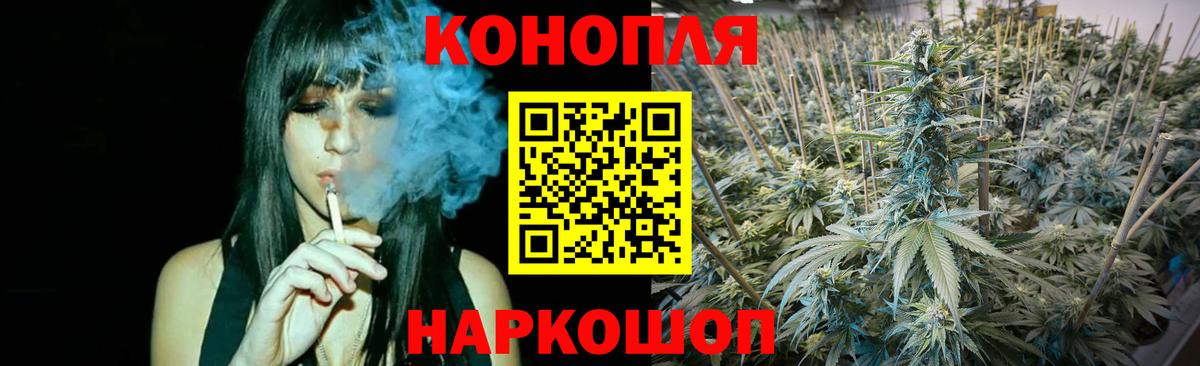 Кольчугино  Шишки марихуана сатива  Бошки Шишки OG Kush  МАРИХУАНА THC 21%  Вход с VPN 